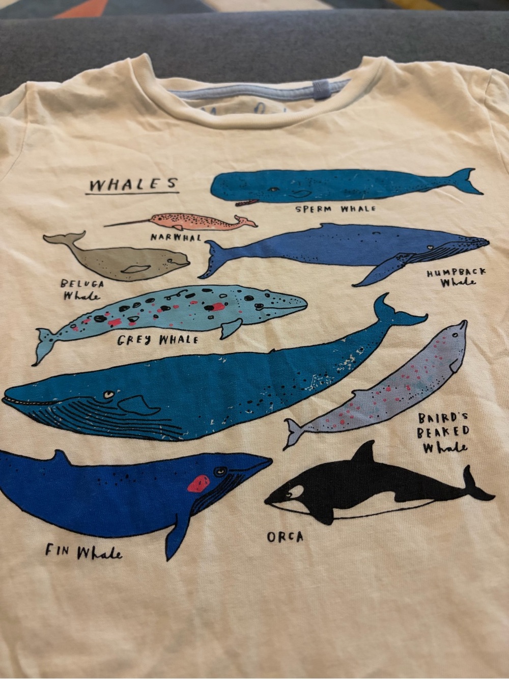 Mini Boden Cream Tee with Blue, Navy and Black Whale Print